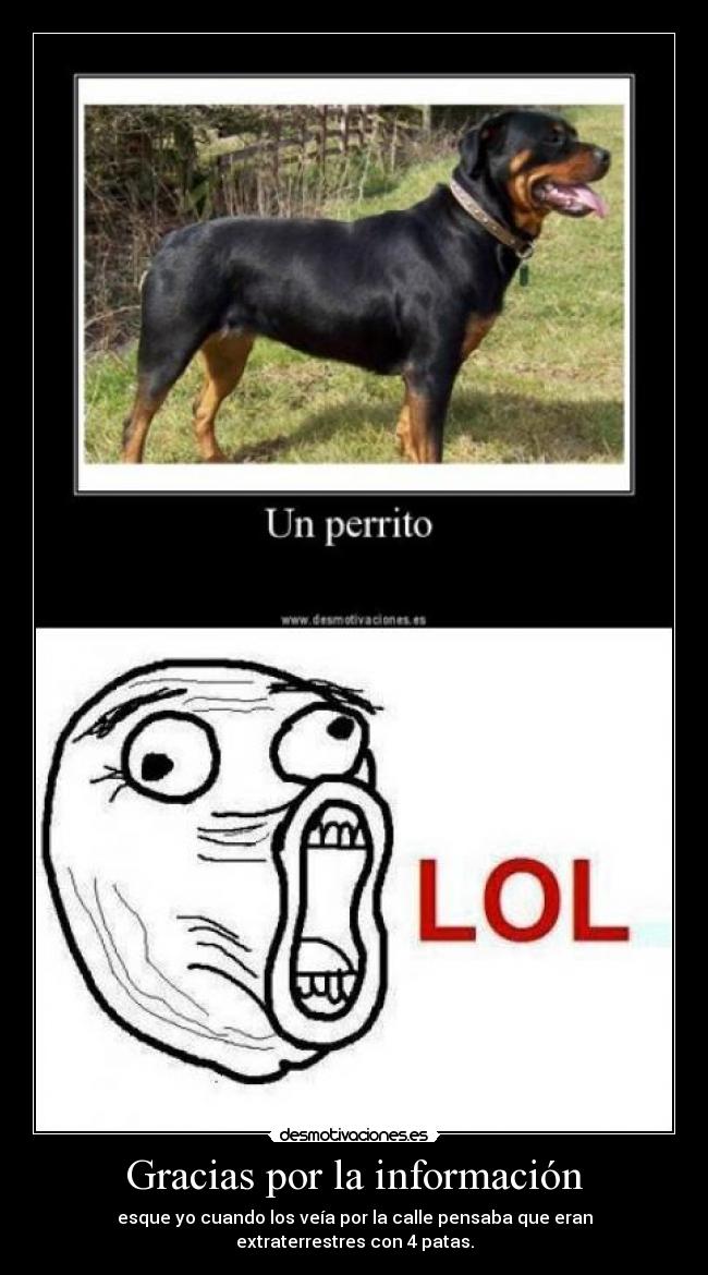 Gracias por la información -