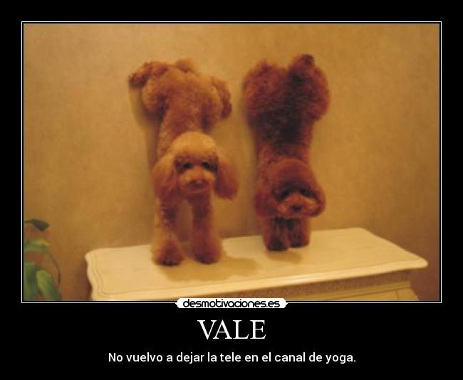 VALE - 