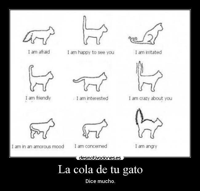 carteles asdsadfasd desmotivaciones