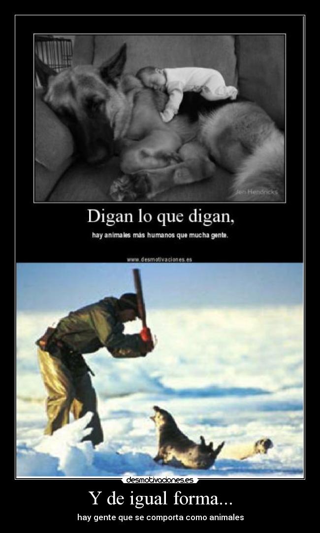 Y de igual forma... - hay gente que se comporta como animales