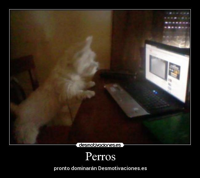Perros - pronto dominarán Desmotivaciones.es