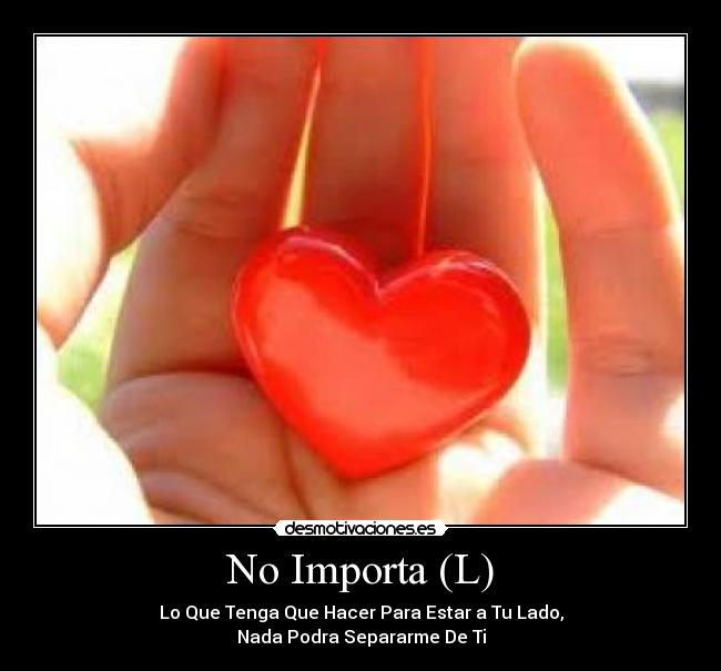 No Importa (L) -