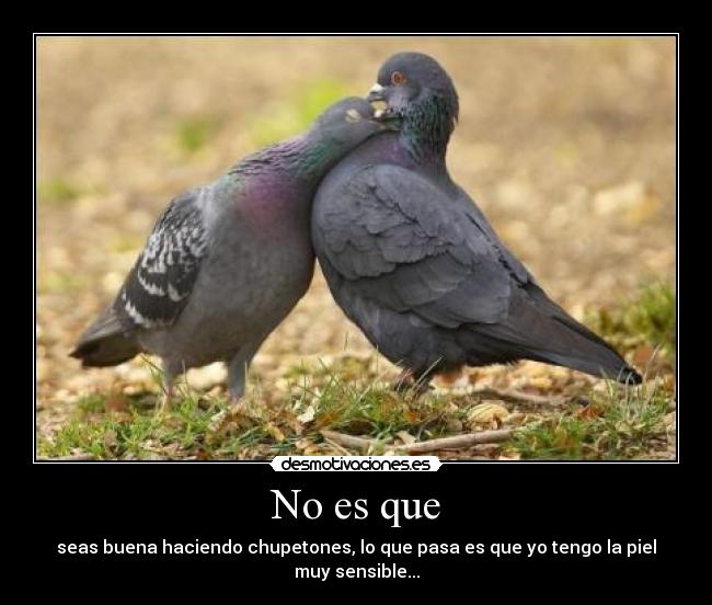 No es que - seas buena haciendo chupetones, lo que pasa es que yo tengo la piel muy sensible...