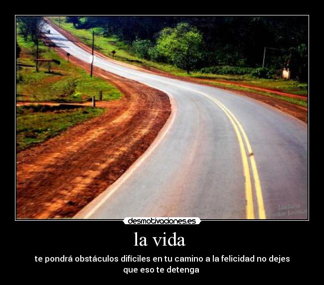 carteles vida vidaaaaaaaaaaaa desmotivaciones