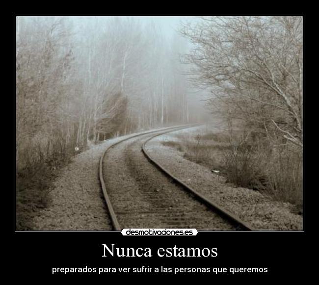Nunca estamos - 