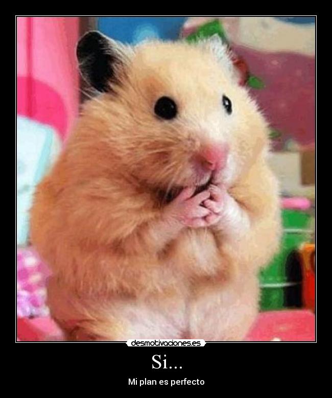 Si... - Mi plan es perfecto