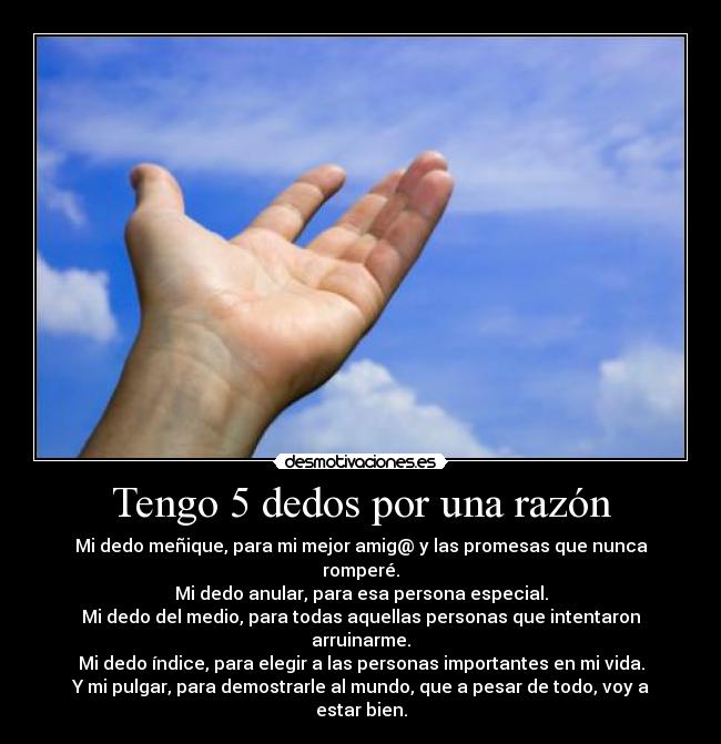 carteles dedos desmotivaciones