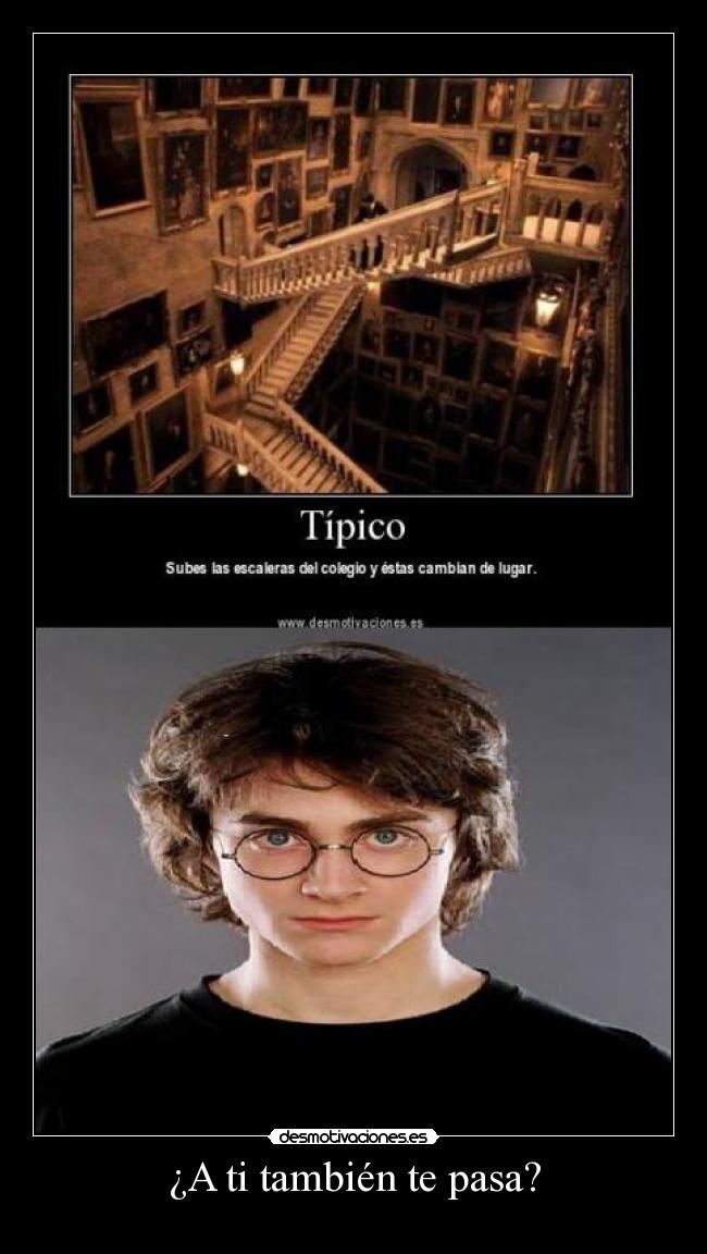 carteles harry potter desmotivaciones