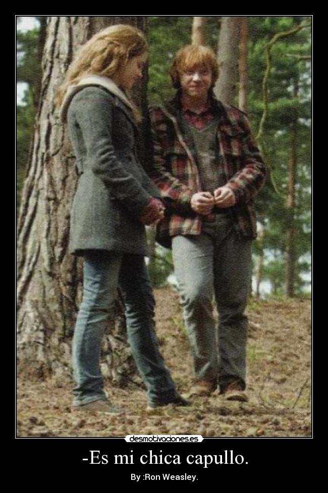 carteles ron weasley desmotivaciones
