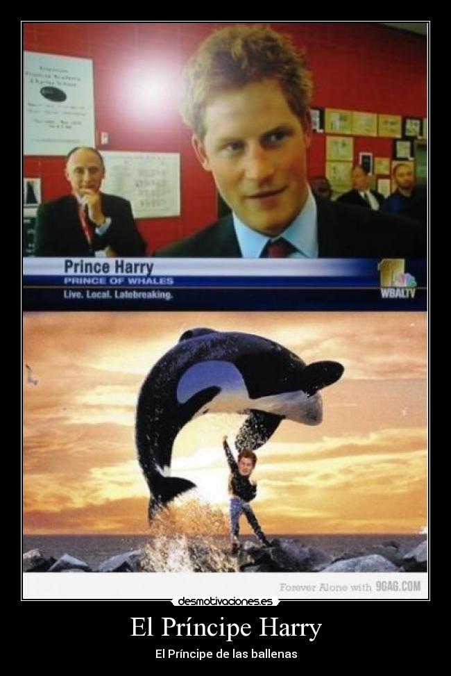 El Príncipe Harry - El Príncipe de las ballenas