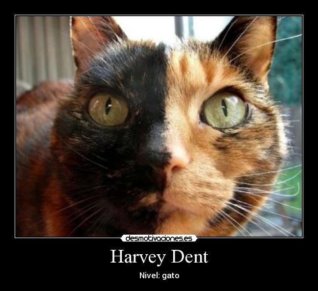Harvey Dent - 
