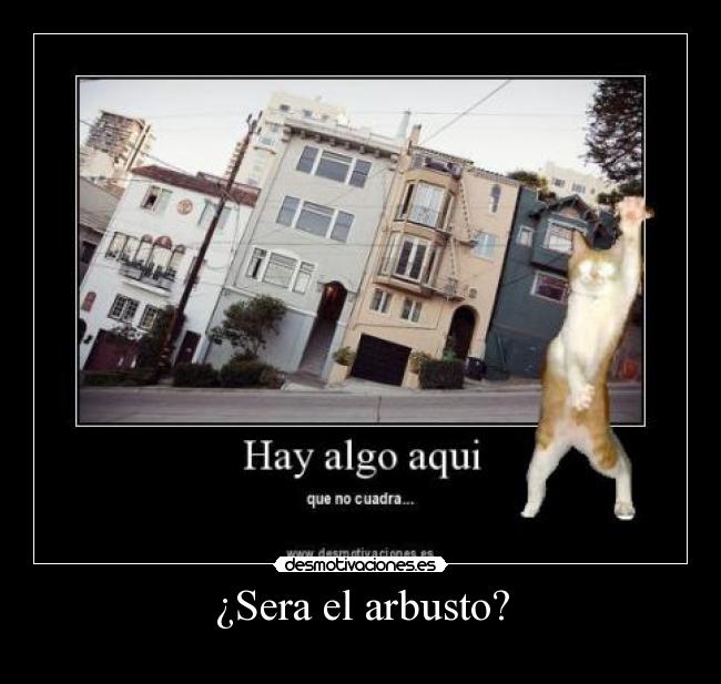 ¿Sera el arbusto? -