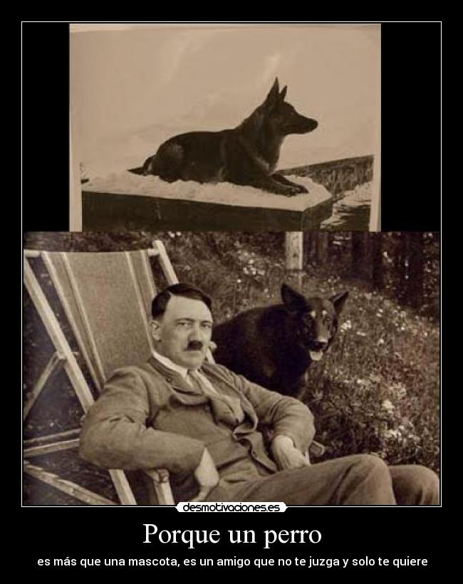 Porque un perro - 