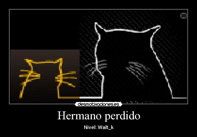 Hermano perdido -