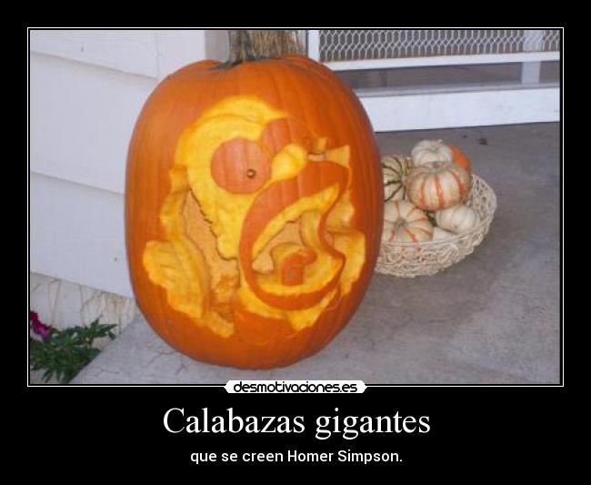 Calabazas gigantes - 