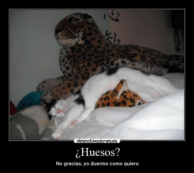 ¿Huesos? - No gracias, yo duermo como quiero