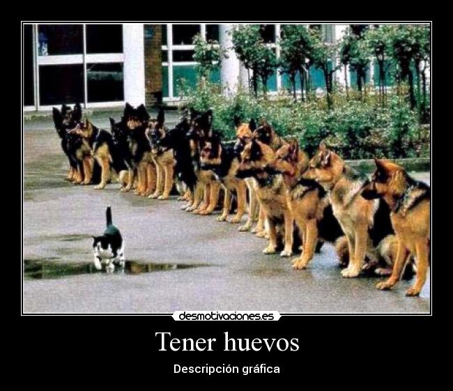 Tener huevos - Descripción gráfica