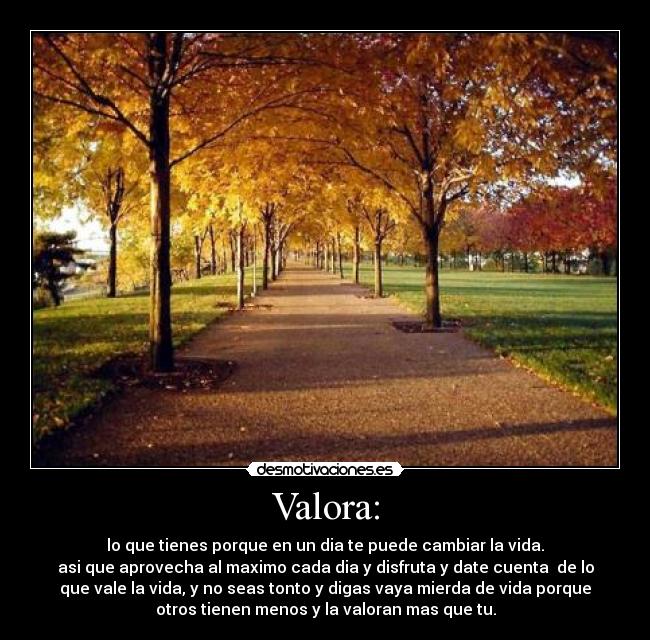 Valora: - lo que tienes porque en un dia te puede cambiar la vida.
asi que aprovecha al maximo cada dia y disfruta y date cuenta de lo
que vale la vida, y no seas tonto y digas vaya mierda de vida porque
otros tienen menos y la valoran mas que tu.