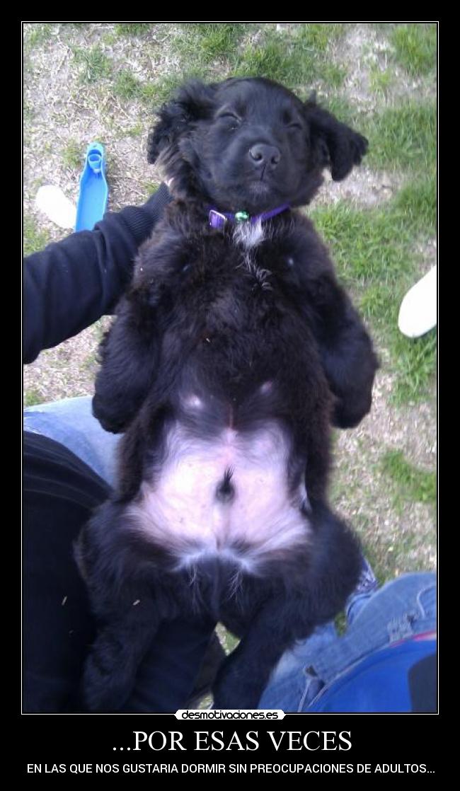 carteles dormir pierna suelta desmotivaciones