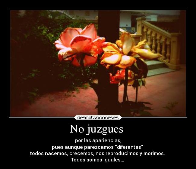 carteles igualdad desmotivaciones