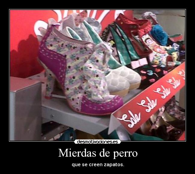 Mierdas de perro - que se creen zapatos.