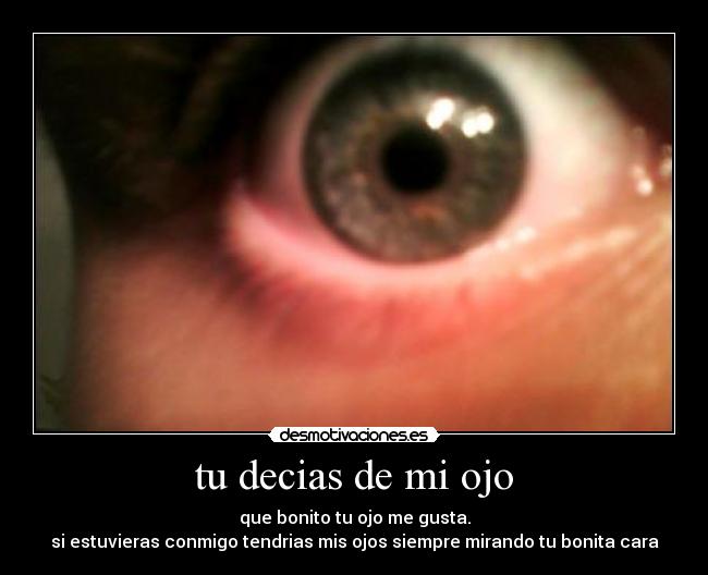 carteles bruno desmotivaciones