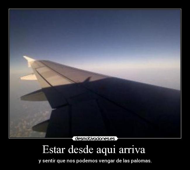 Estar desde aqui arriva - y sentir que nos podemos vengar de las palomas.