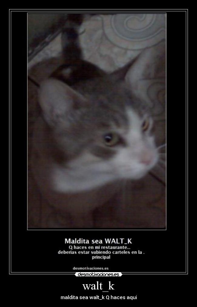 walt_k -