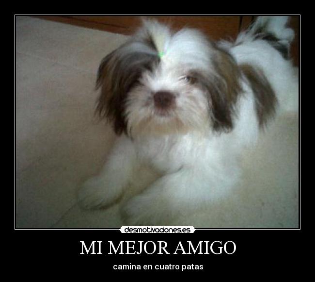 MI MEJOR AMIGO - 