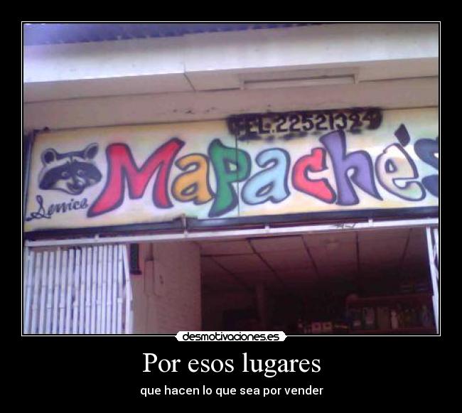 carteles lugares desmotivaciones