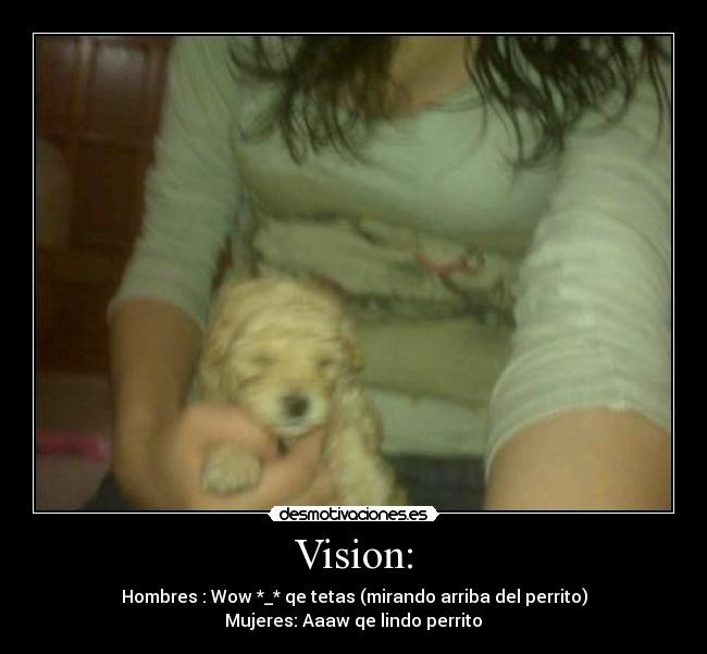 Vision: - 