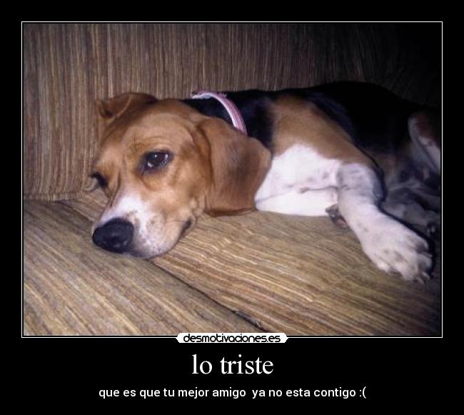lo triste - 