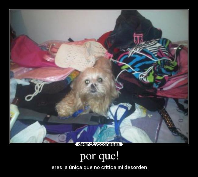 por que! - eres la única que no critica mi desorden