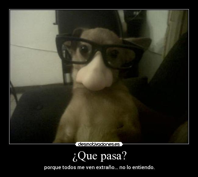 ¿Que pasa? - porque todos me ven extraño... no lo entiendo.