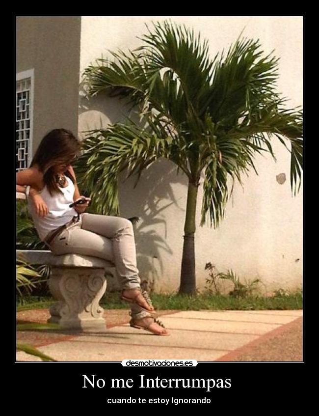 No me Interrumpas  - 