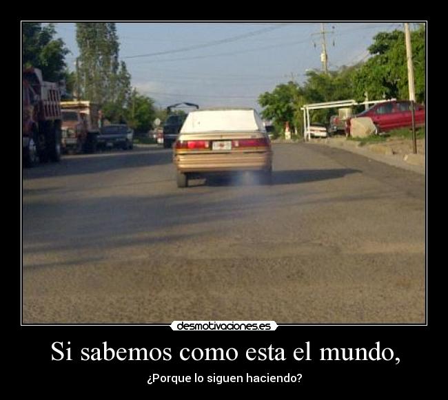 Si sabemos como esta el mundo, - ¿Porque lo siguen haciendo?
