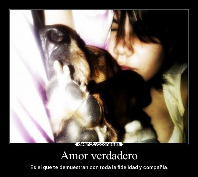Amor verdadero - Es el que te demuestran con toda la fidelidad y compañía.