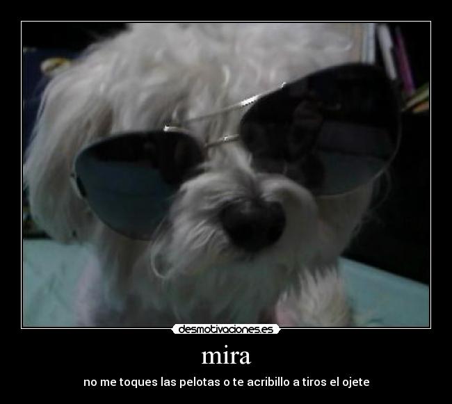 carteles desmotivaciones