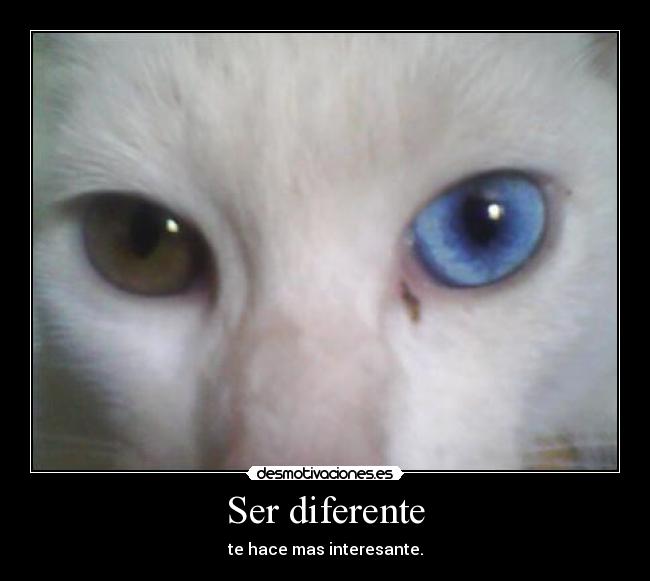 Ser diferente - 