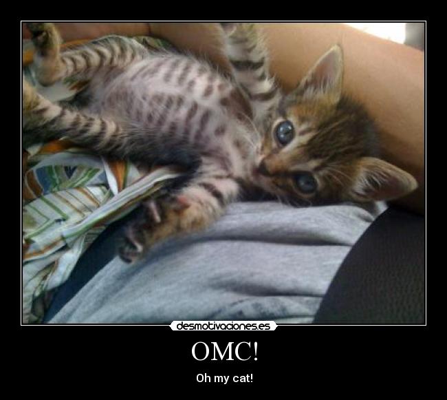 OMC! -