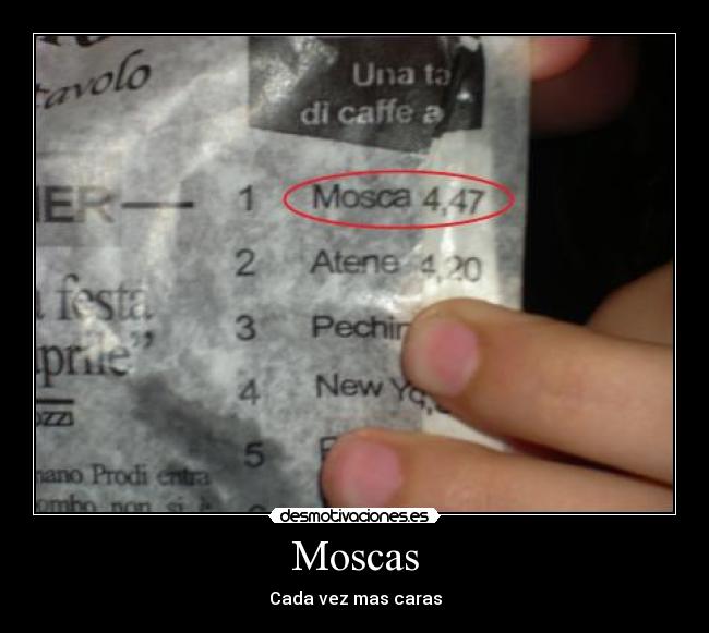 Moscas -