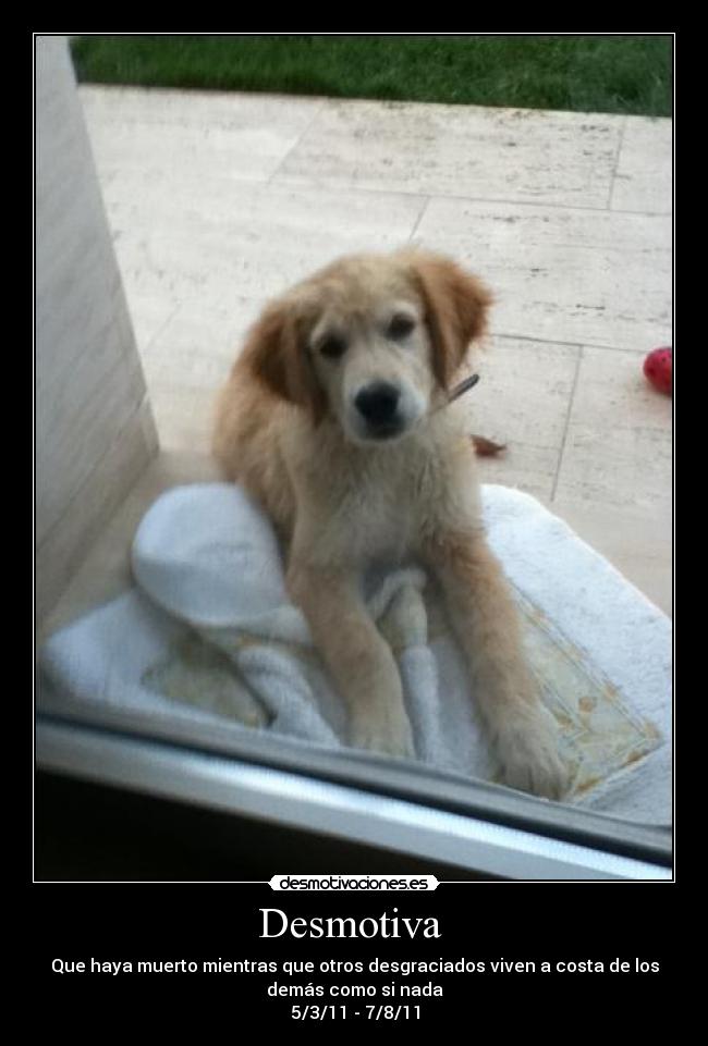 Desmotiva - Que haya muerto mientras que otros desgraciados viven a costa de los
demás como si nada
5/3/11 - 7/8/11