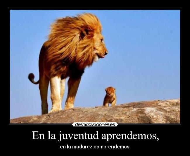 En la juventud aprendemos, - en la madurez comprendemos.