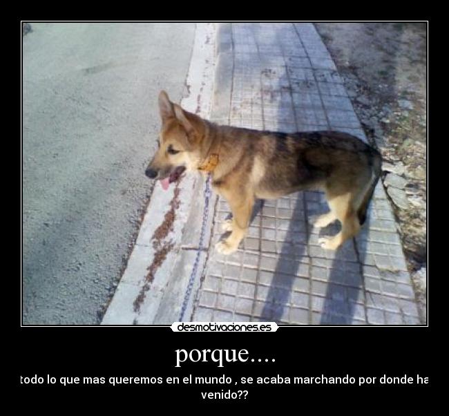 porque.... -