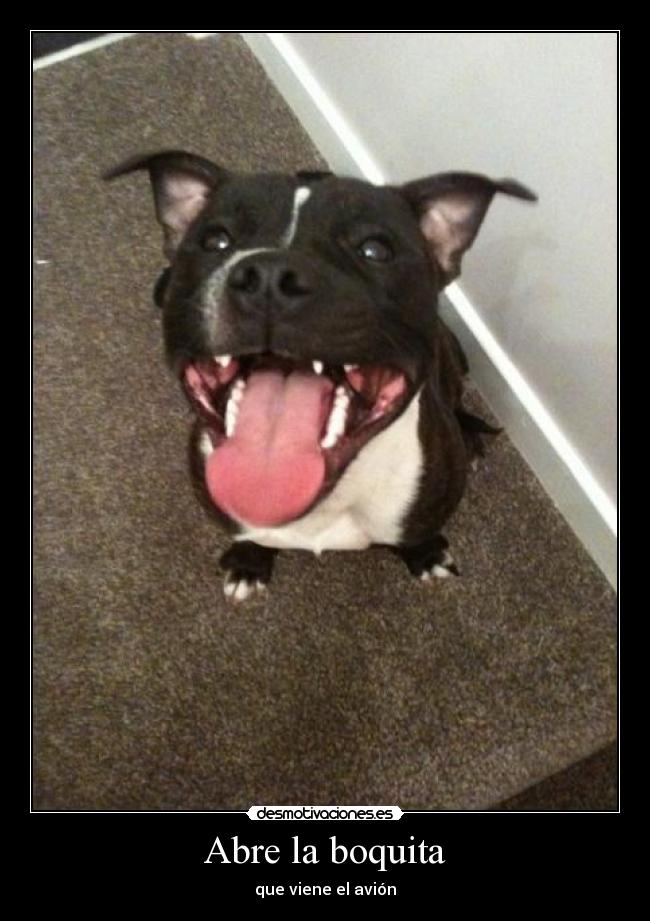 Abre la boquita - que viene el avión