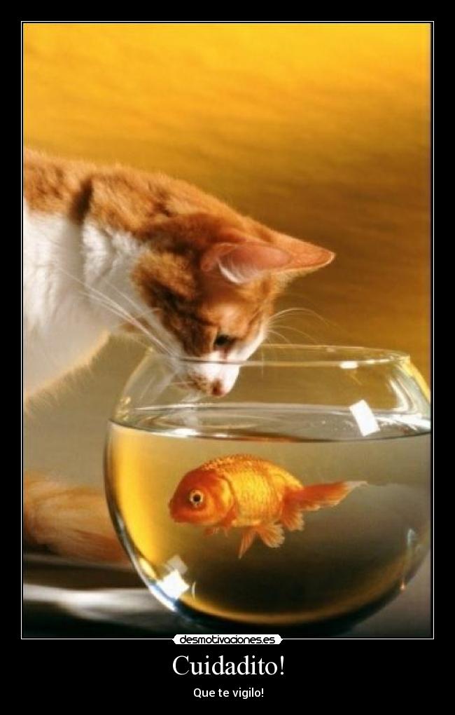 Cuidadito! -
