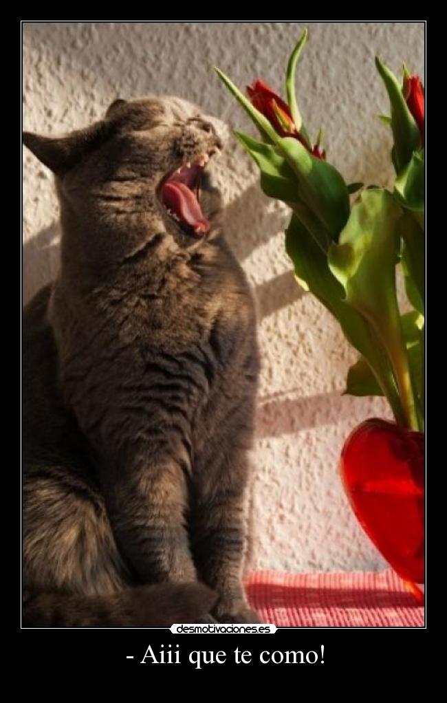 - Aiii que te como! -