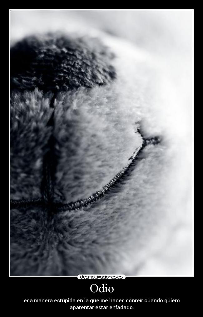 Odio - 
