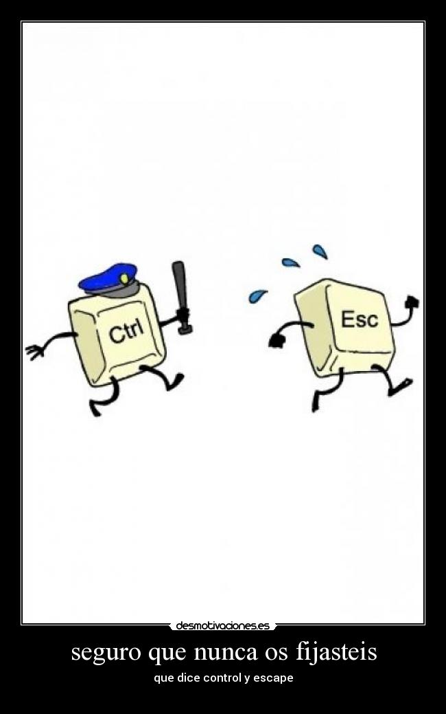 seguro que nunca os fijasteis -