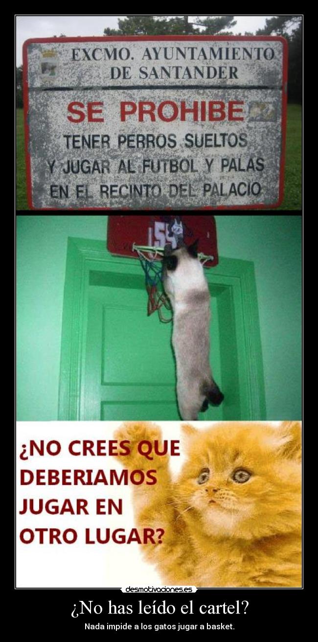 ¿No has leído el cartel? -